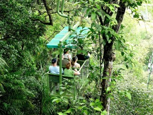 gamboa-rain-forest