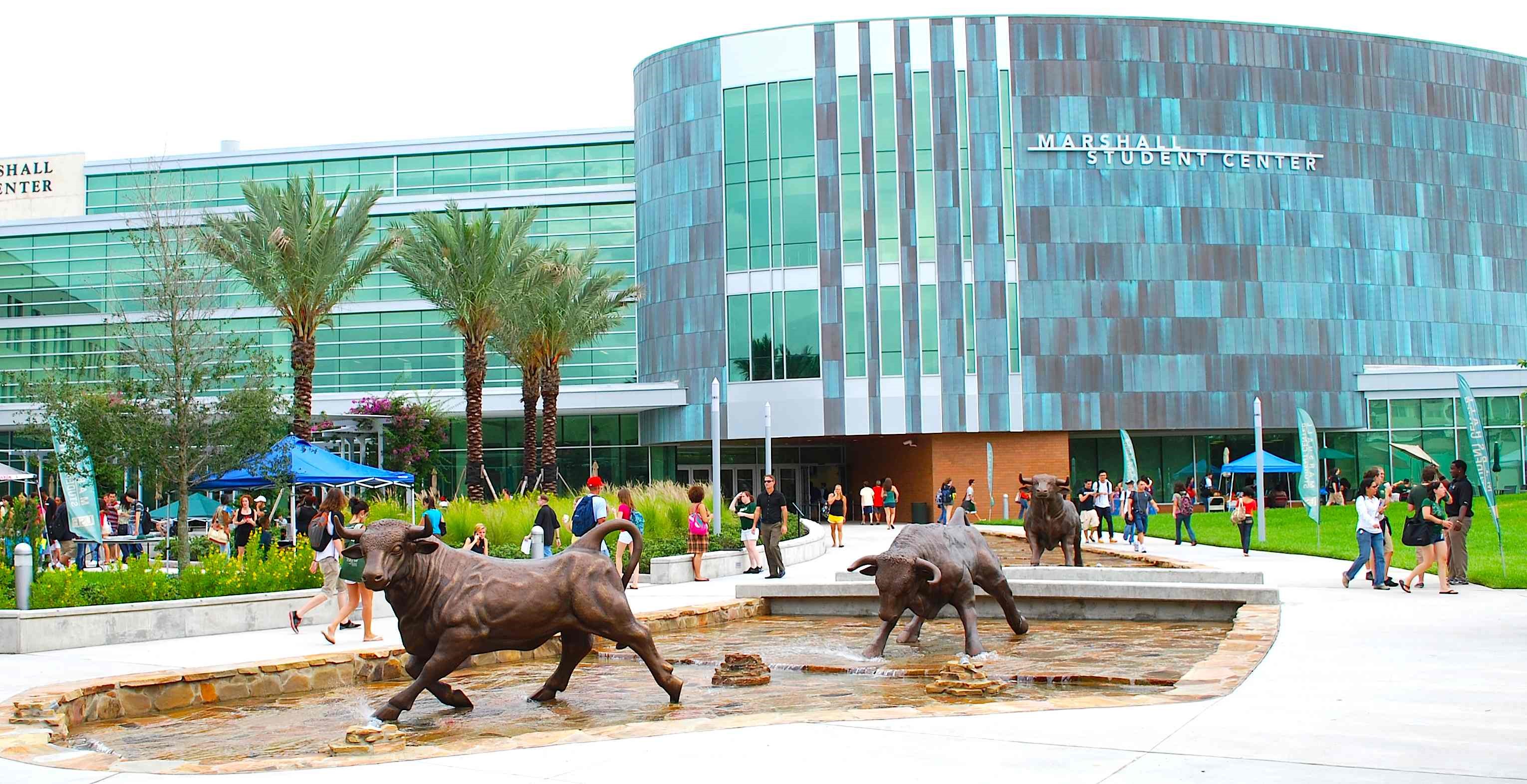 USF PANAMA
