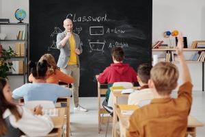 qué competencias debe procurar desarrollar el docente en sus alumnos de primaria